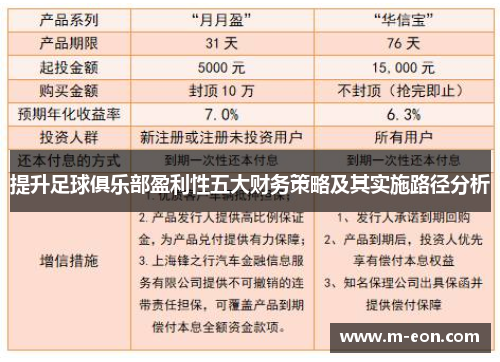提升足球俱乐部盈利性五大财务策略及其实施路径分析
