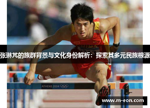张琳芃的族群背景与文化身份解析：探索其多元民族根源